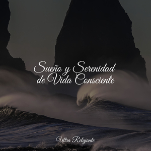 Sueño Y Concentración