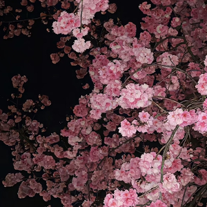 谎言揭穿后的潦草终局