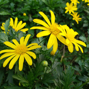 痴心换情深（翻自 周慧敏）