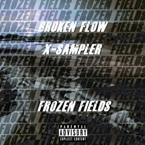Frozen Fields