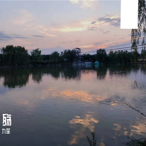 白羊
