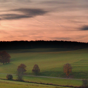 上半年没搞到钱