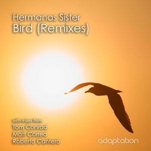 Bird (Matt Correa Club Mix)