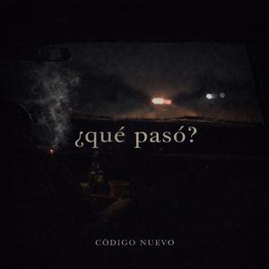 ¿QUE PASO?
