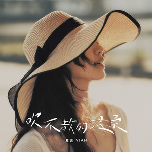 吹不散的溫柔