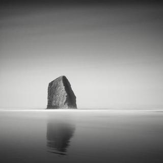 我 讨 厌 孤 独 可 我 只 剩 下 它 了