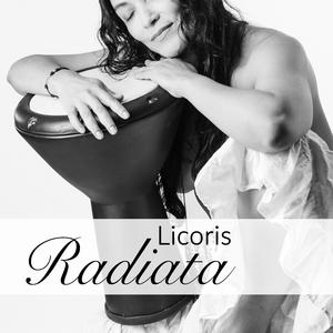 Despedanzando Mi Voz