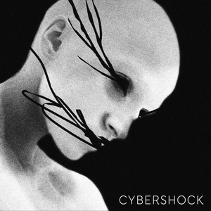 Cybershock