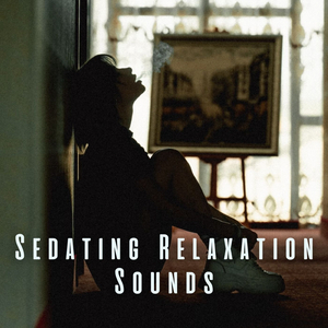 Serene Sound Sanctuary