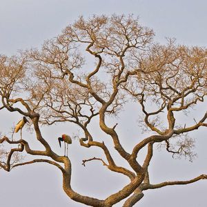 把爱当成悬案 要用一生去试探