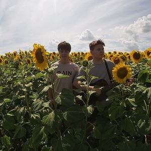 О Шарлыке: Cover