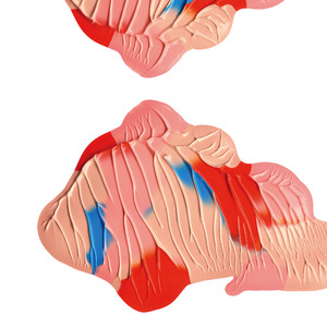 Ode Til Tove (Der Bor Også En Ung Pige I Mig) (Epic version)