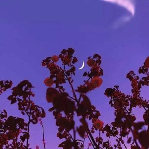 内耗是缠住脚的雾 退退退