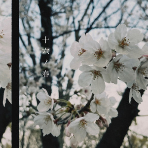 十六の春