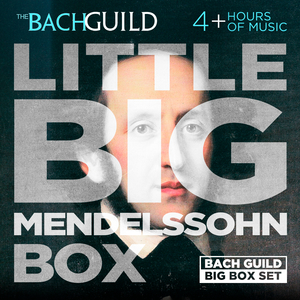 Mendelssohn:Violin Concerto in E Minor, Op. 64: II. Andante