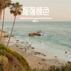 倔强颜色
