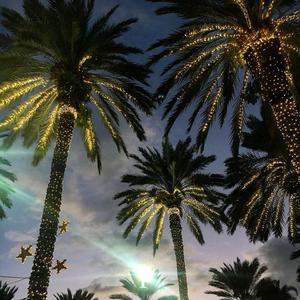 Sia-Dusk Till Dawn（A remix）