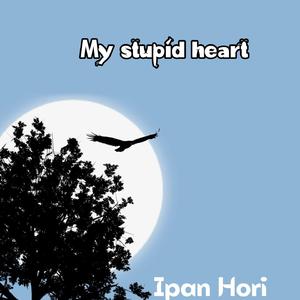 My Stupid Heart