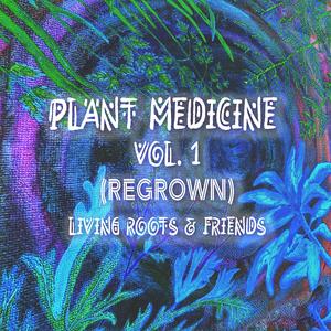 Mugwort (Regrown by Lo:bo)
