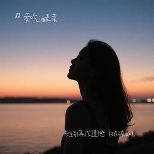 来生别再成遗憾