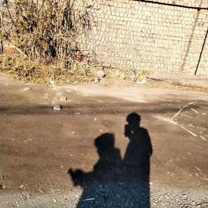 鱼（cover李铭辰）