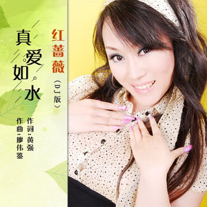 真爱如水 (DJ版)