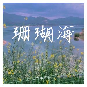 珊瑚海（原唱:周杰伦）
