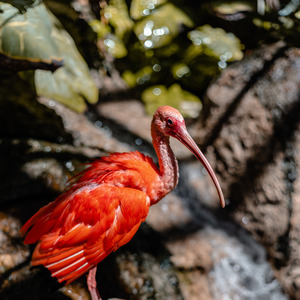 Dj Forever Young 02 (Live)