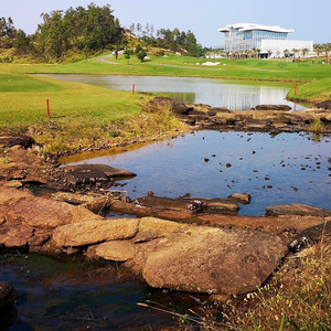 初夏的许愿（古筝）