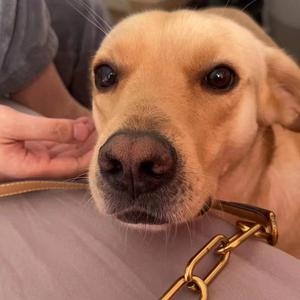 请杀死我的浪漫（cover：李润祺）