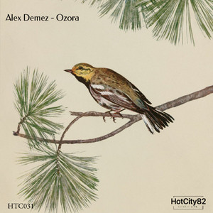 Ozora (Original Mix)