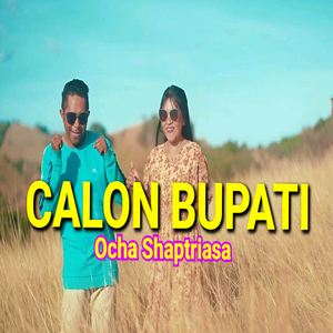 Calon Bupati