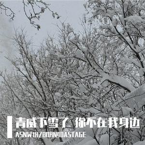 青威下雪了 你不我在身边Ft.BORN4DASTAGE（Froggy Remix）