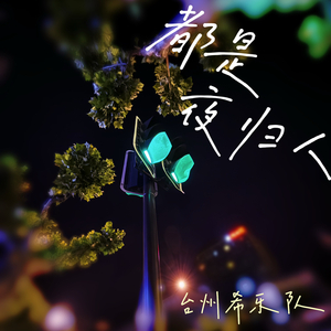 都是夜归人
