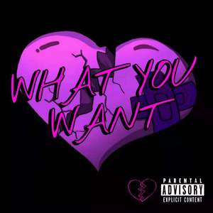 WANT YOUR LOVE