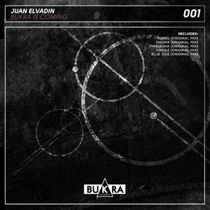 Enigma (Original Mix)