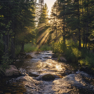 Alivio del insomnio con Ritmos calmantes
