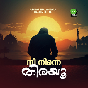 NEE NINNE THIRAYU