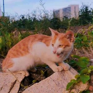 去有风的地方(Acoustic)