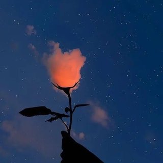 欧美｜月夜浅唱，携你晚风与轻柔