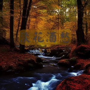 淡花酒愁(太瑞.Version)