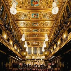 Grand Finale_ The Celestial Kingdom