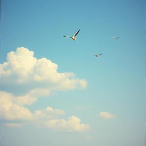 風にふかれろ (Inst v5.5)