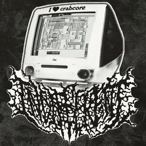 T.E.R.F (feat. Sunstreak)