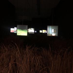 痛苦悲伤的2020年初冬留下的回忆（PORD BY房间里的大象）