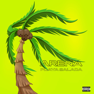 Arena playa salada