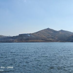 春天你是我看不到的熊