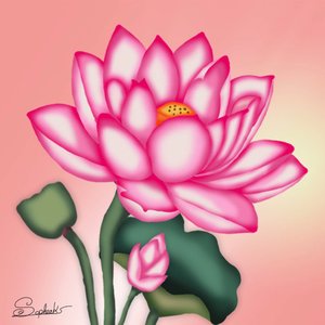 ផ្កា | Flower