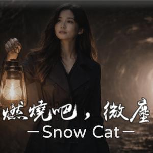 燃燒吧，微塵
