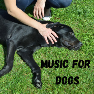 Classical Music for Dogs